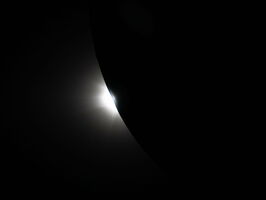 IMG 4242